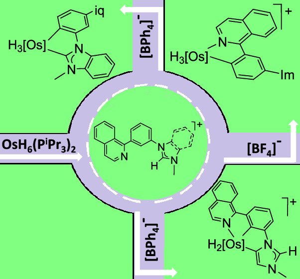 Orgmet_ACS's tweet photo. Which exit of the roundabout will OsH6(PiPr3)2 take? It will depend on the anion and on the imidazolium or benzimidazolium nature of the salt used. To know more about this check the latest work from @EsteruelasGroup in @Orgmet_ACS https://t.co/oqB9EY3PlN https://t.co/QJ6WK08aO2