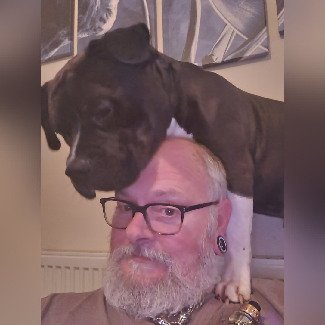 DamoAndMeatball's tweet photo. Get a dog, it'll be fun.... 🤣🤣🤣🐕🐕 https://t.co/ZAkRp87YmR