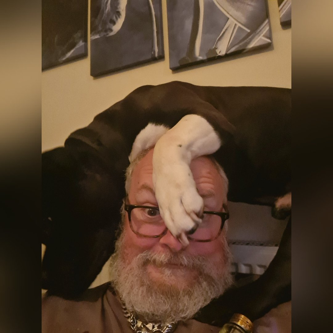 DamoAndMeatball's tweet photo. Get a dog, it'll be fun.... 🤣🤣🤣🐕🐕 https://t.co/ZAkRp87YmR