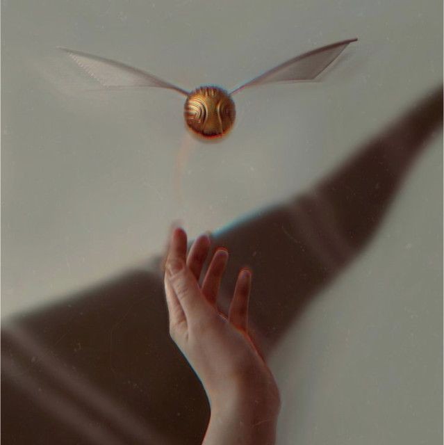 PotterhImp's tweet photo. «𝙸 𝚌𝚊𝚗’𝚝 𝚋𝚎 𝚊 𝚠𝚒𝚣𝚊𝚛𝚍!
𝙸 𝚖𝚎𝚊𝚗, 
                  𝙸’𝚖 𝚓𝚞𝚜𝚝 𝙷𝚊𝚛𝚛𝚢.»

♌︎. 𝙶𝚛𝚢𝚏𝚏𝚒𝚗𝚍𝚘𝚛
♌︎. 𝟼𝚝𝚑 𝚢𝚜
♌︎. 𝚀𝚞𝚒𝚍𝚍𝚒𝚝𝚌𝚑 𝚜𝚎𝚎𝚔𝚎𝚛 
♌︎ . «𝚋𝚞𝚝- 𝙸 𝙰𝙼 𝚝𝚑𝚎 𝚌𝚑𝚘𝚜𝚎𝚗 𝚘𝚗𝚎..𝚘𝚞𝚌𝚑!» https://t.co/gbPMvvmOxF