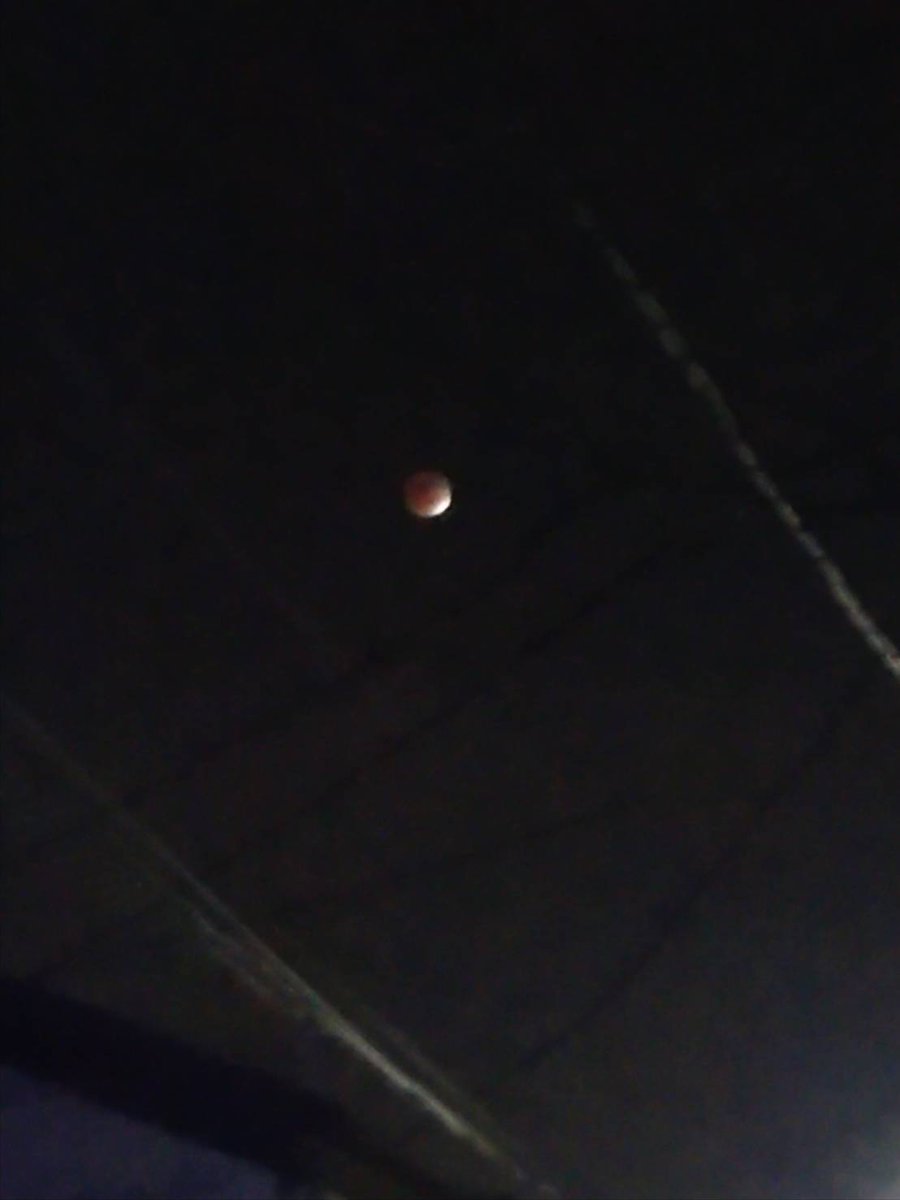 ほぼ皆既月食みてる？今ちょうど隠れてるよ。次回は65年後らしいぞ