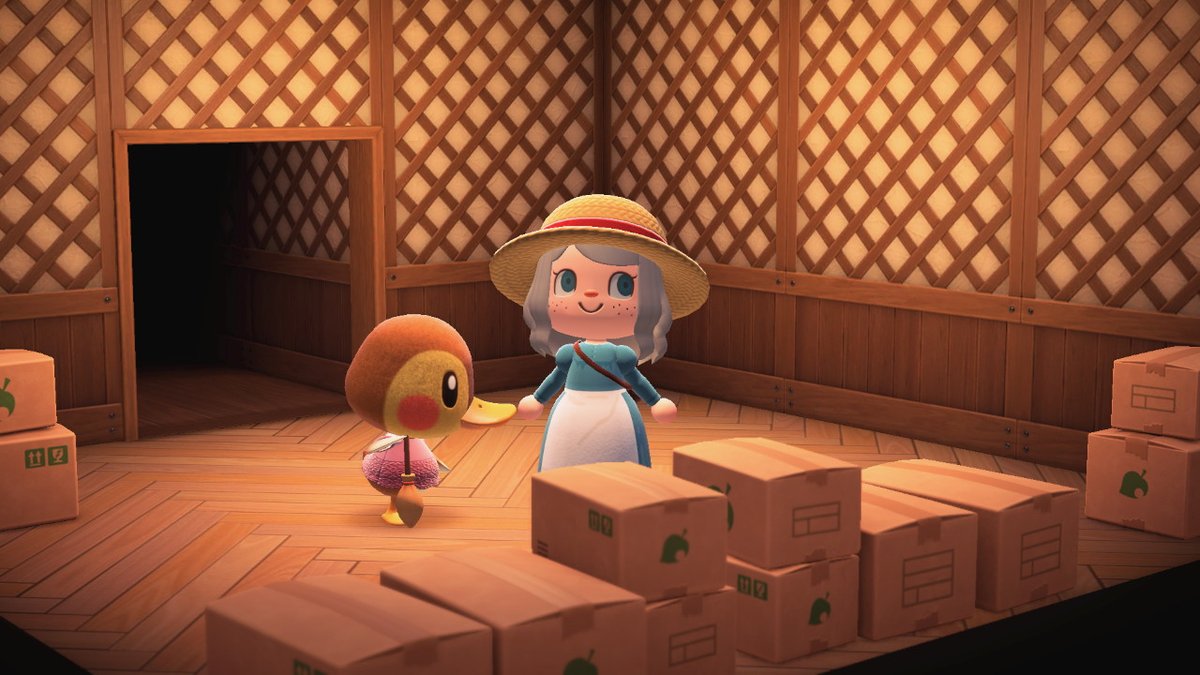 Kate_Lachlan's tweet photo. I have Molly in boxes if anyone is interested #dodocode #ACNH #villagerinboxes https://t.co/WGozgxsViE