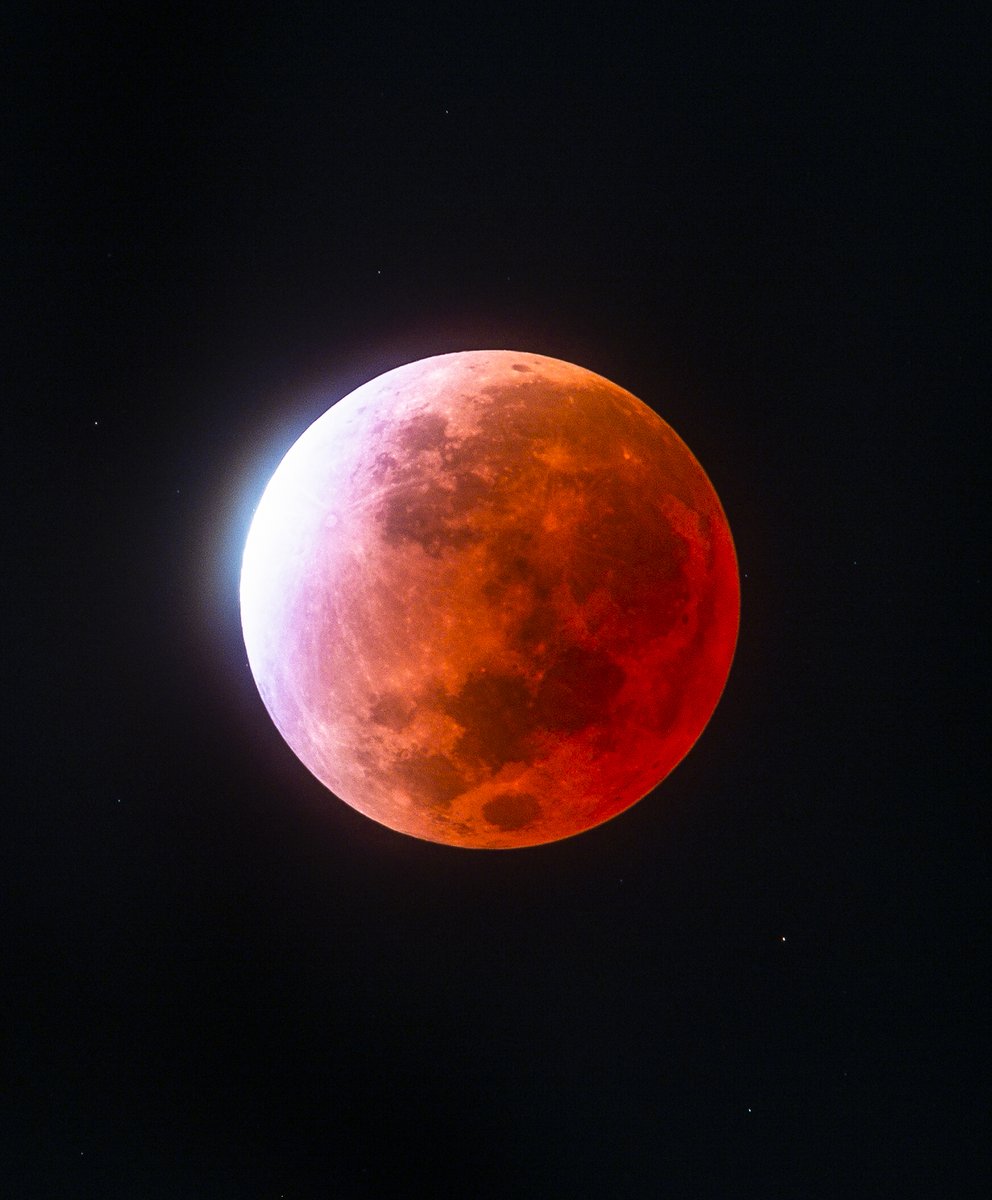 🔭AstroBackyard tweet media