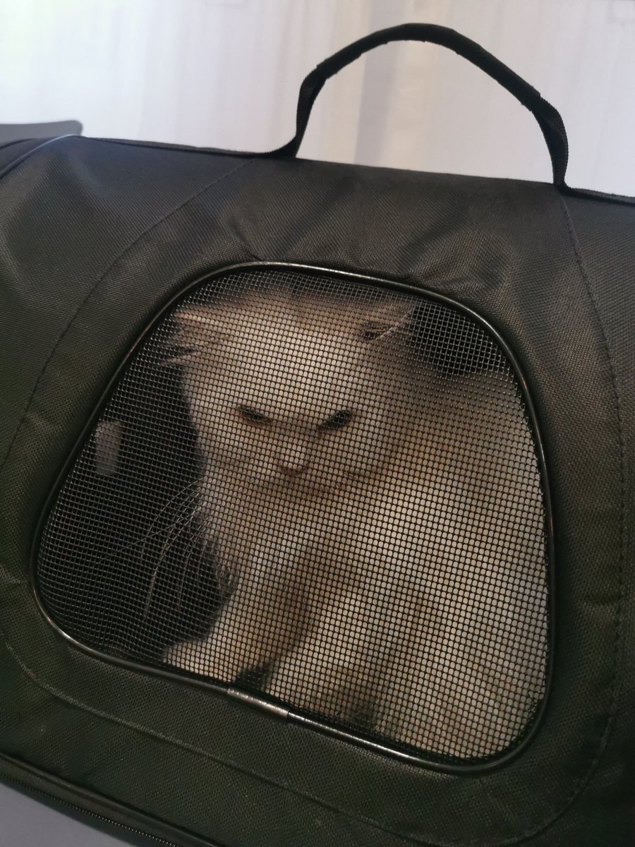 marcuspawrelius's tweet photo. Ik moet in de kliniek blijven.
Ze heeft gelijk gekregen. Google toch. https://t.co/wjj48JZnKP