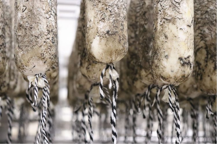 ruralcat's tweet photo. El Grup Operatiu EMBOCHEESE desenvolupa un nou concepte de formatge embotit reduint el temps de maduració. #GrupsOperatiusCat #Grups Operatius  
https://t.co/DCCNgBhOQ6 @formatgemontbru @irtacat https://t.co/FHGS8Z9CcF