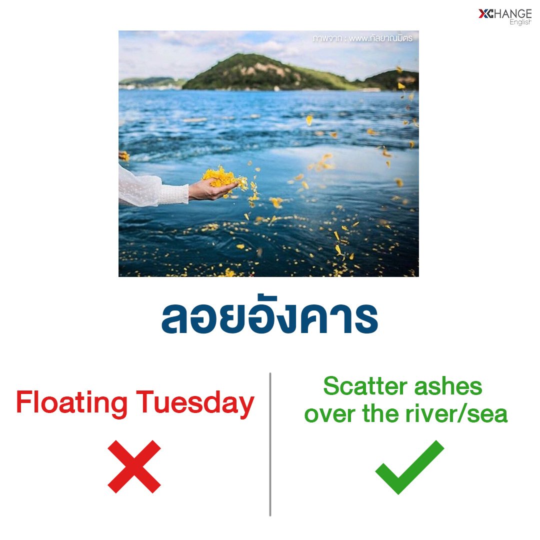XChangeEnglish's tweet photo. ศัพท์ลอยๆ ไม่ได้มีแค่ Float 😂 #ลอยกระทง https://t.co/cphvy4CdMG