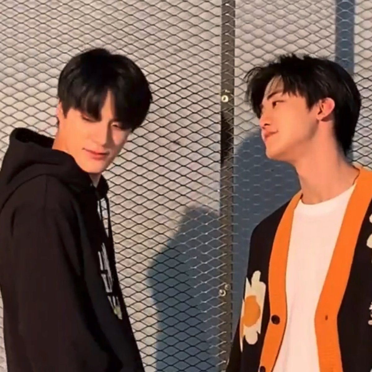 자몽 tweet media