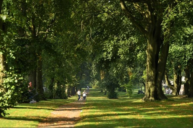 .#Preston, #Bradford, #Southampton and #Salford have been granted the coveted status of #ChampionCity, playing a lead role in a #green #urban scheme to plant millions of trees to celebrate the Queen's Platinum Jubilee🌳#KeyCities

lep.co.uk/heritage-and-r…