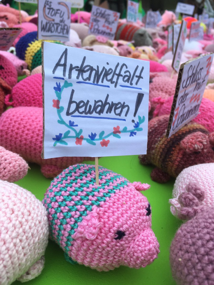 Ein Schweinchen sagt mehr als 1000 Worte!