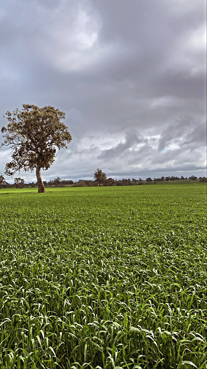 What an industry we get to live our lives in #AgDayAU