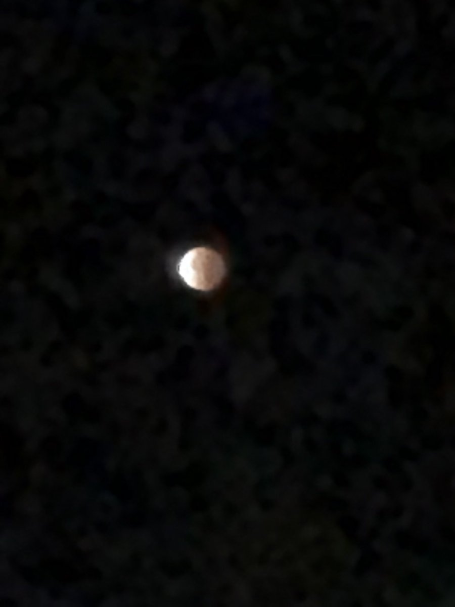 SarahMichaele's tweet photo. Pretty amazing eclipse tonight. Worth it waking up at 4 am! #LunarEclipse https://t.co/fyqexG8tTl