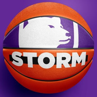 kenizenicole's tweet photo. I’m blessed to receive my 1st offer from @CrownWBB @BasketballCrown A big thank you to @coachszabs for believing in me and being such a big encouragement!!💜💜 #GoStorm #down7up8 https://t.co/n4xae6oqzp
