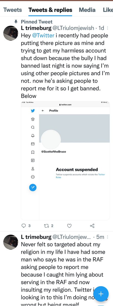 TriThinking's tweet photo. @novahollandiae @theSGM4 @DannyWright82 @LTriulomjewish @abline11 His game. Scott is the guy he got suspended. Also he tries to get the Bot to flag your account. https://t.co/gl715IvjHB