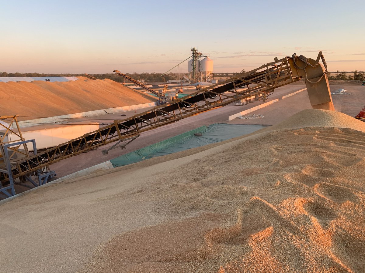 CargillAUS's tweet image. Today on #AgDayAU we are celebrating harvest by sharing some of the recent shots of #grain deliveries at our #grainflow sites