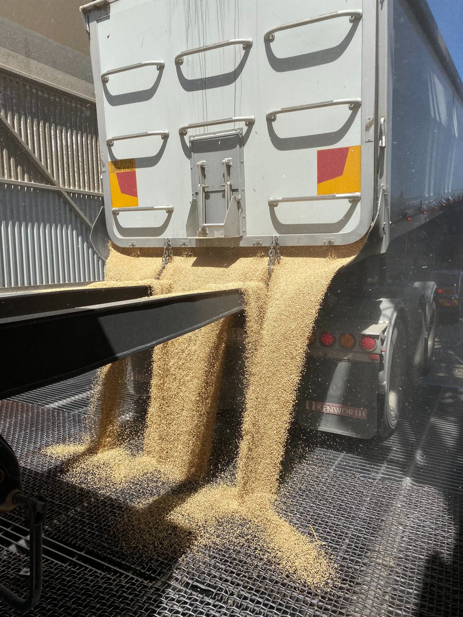 CargillAUS's tweet image. Today on #AgDayAU we are celebrating harvest by sharing some of the recent shots of #grain deliveries at our #grainflow sites
