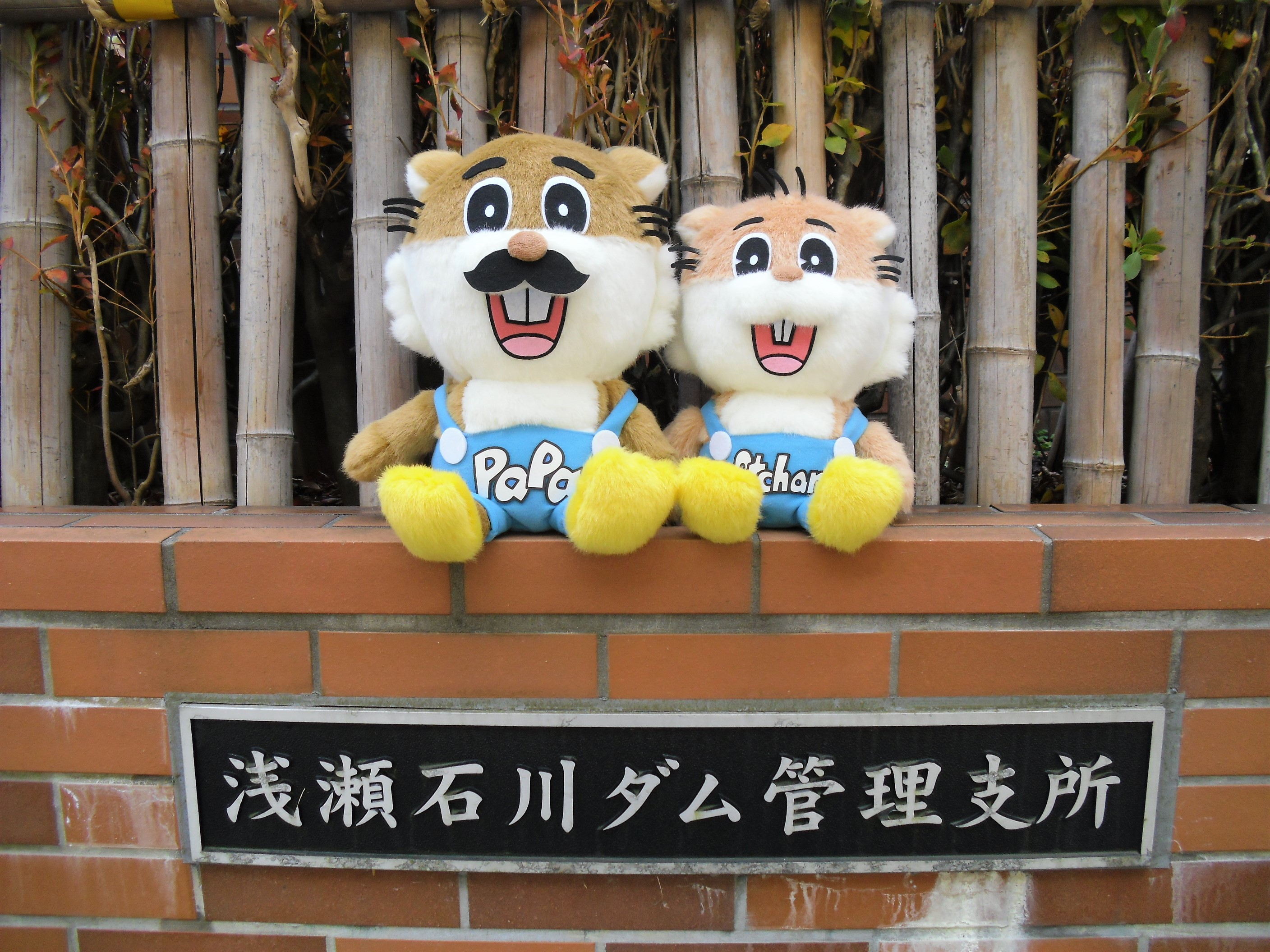 国土交通省岩木川ダム統合管理事務所 みてみて 浅瀬石川ダム イメージキャラクター あっちゃん と あっちゃんパパ がぬいぐるみになって浅瀬石川ダムに登場 これから浅瀬石川ダムや周辺情報を発信していくよ お楽しみに 浅瀬石川ダム イメージ
