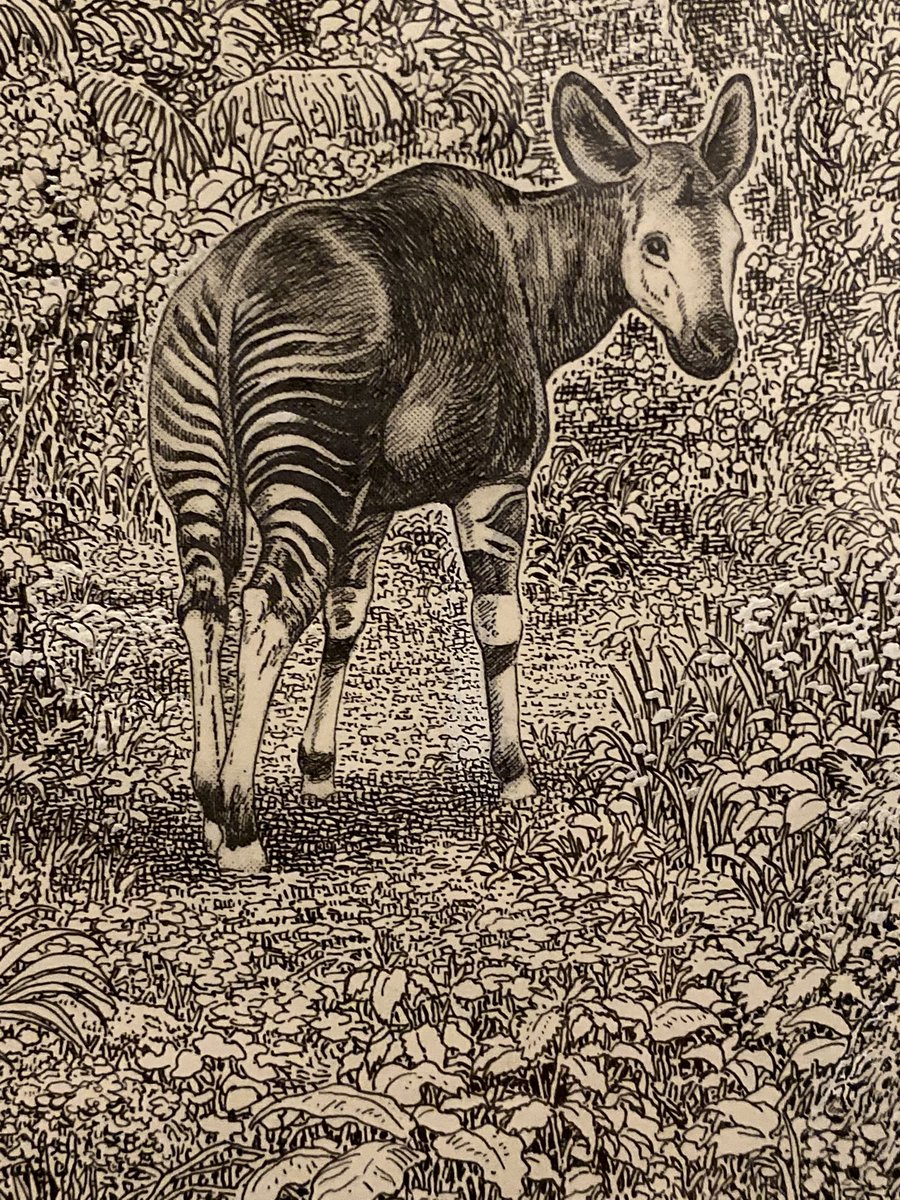 アナログで描いてるのは解る。
解るんだけれどもどう脳内設計すればこう描けるのか全然解らない……! 