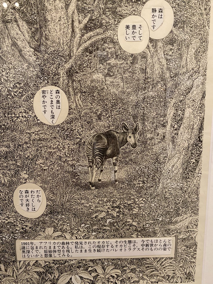 アナログで描いてるのは解る。
解るんだけれどもどう脳内設計すればこう描けるのか全然解らない……! 