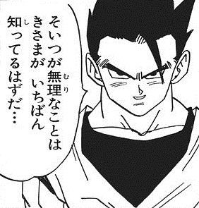 12月入ったらまとめ買いチケットでダイパ買って……暁月は7日からだから6日間でダイパ終わらせれば…… 