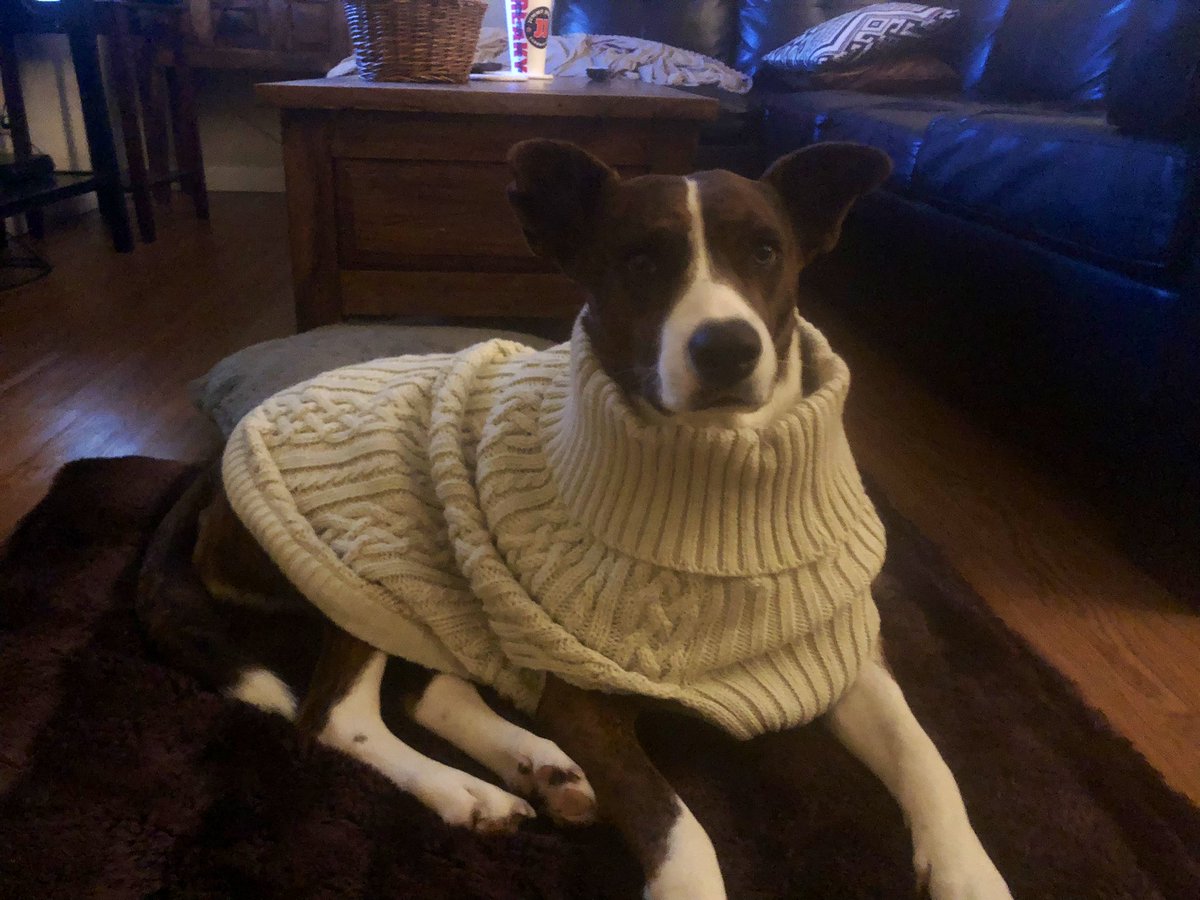 Juni loves her new sweater so much