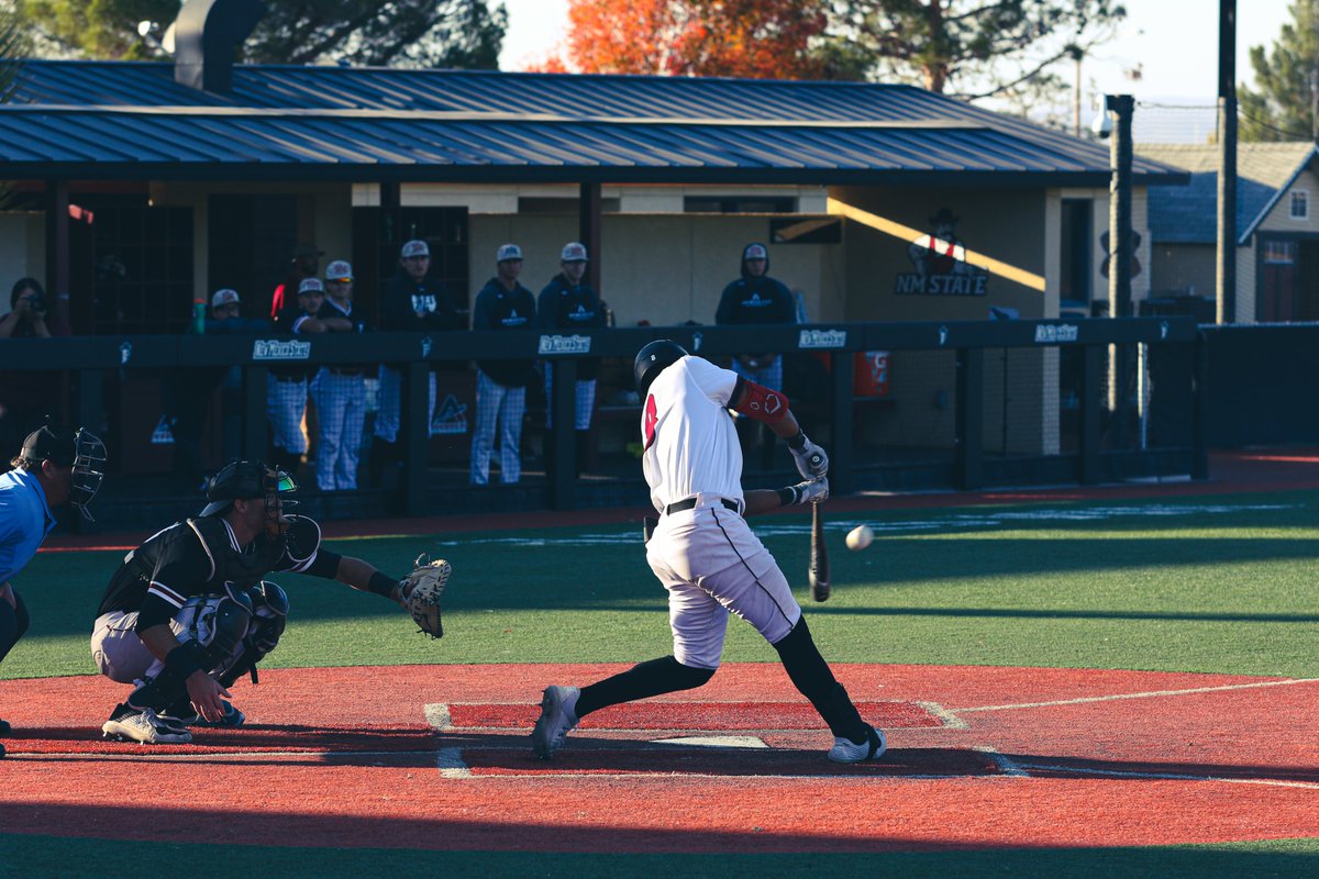 New Mexico State Baseball tweet media