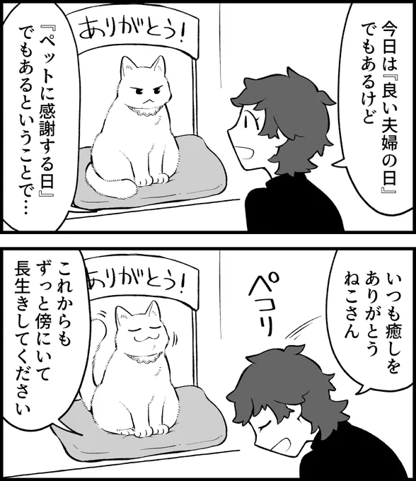 ずっとずっと一緒にいてね。--ねこさんが聞いてくれない(清水めりぃ  )毎週月曜日更新。 #ヤメコミうちは #いい夫婦の日 より #ペットたちに感謝する日 