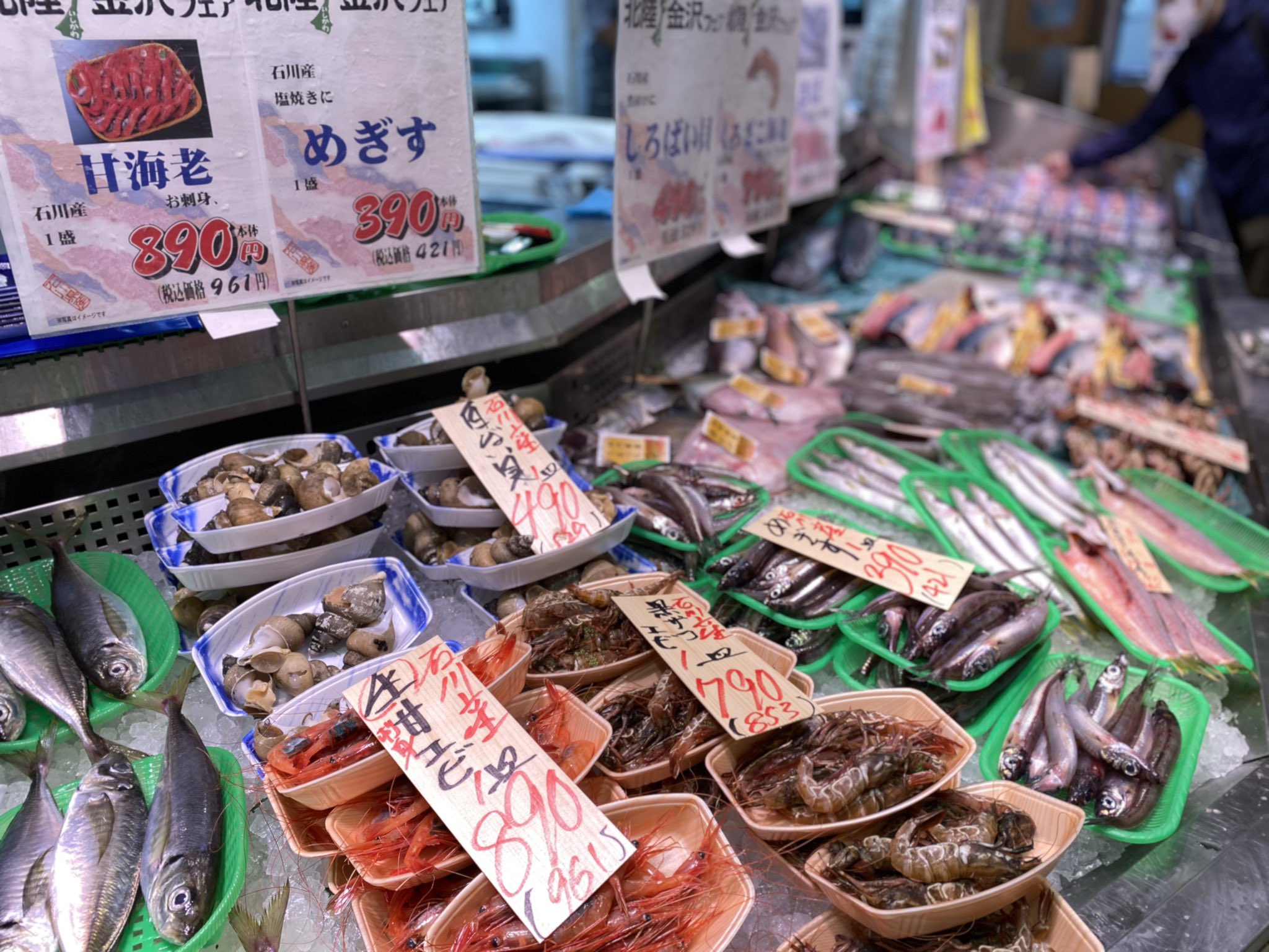 تويتر ルミネ立川店 على تويتر ルミネカード10 オフ 北陸フェア 昨日から始まった北陸フェア 地元でしか買えない珍しい魚 が勢揃いです 個人的には この時期にこの大きさのアオリイカは買いです 魚力 北陸 日本海 立川 甘海老の卵は醤油で食べても تويتر ルミネ立川店 على تويتر ルミネカード10 オフ 北陸フェア 昨日から始まった北陸フェア 地元でしか買えない珍しい魚 が勢揃いです 個人的には この時期にこの大きさのアオリイカは買いです 魚力 北陸 日本海 立川 甘海老の卵は醤油で食べても