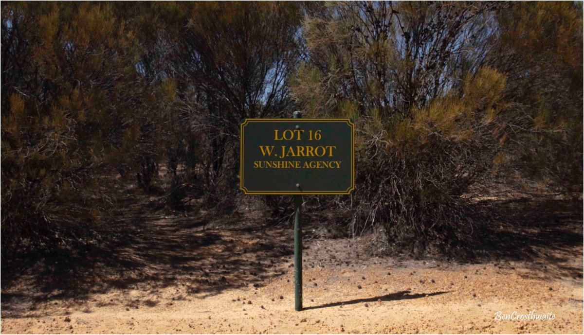 Bonnie Rock was a once-thriving little town with about ten shops and agencies; this bin is now filled by just nine growers. 
The other interesting thing is Bonnie Rock has the most reliable rainfall in Australia, i.e. the chances of getting its 10 inches a year are very high.