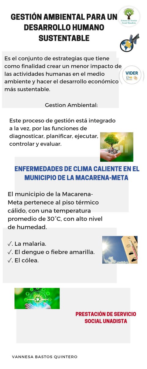 Vanesa Bastos tweet media