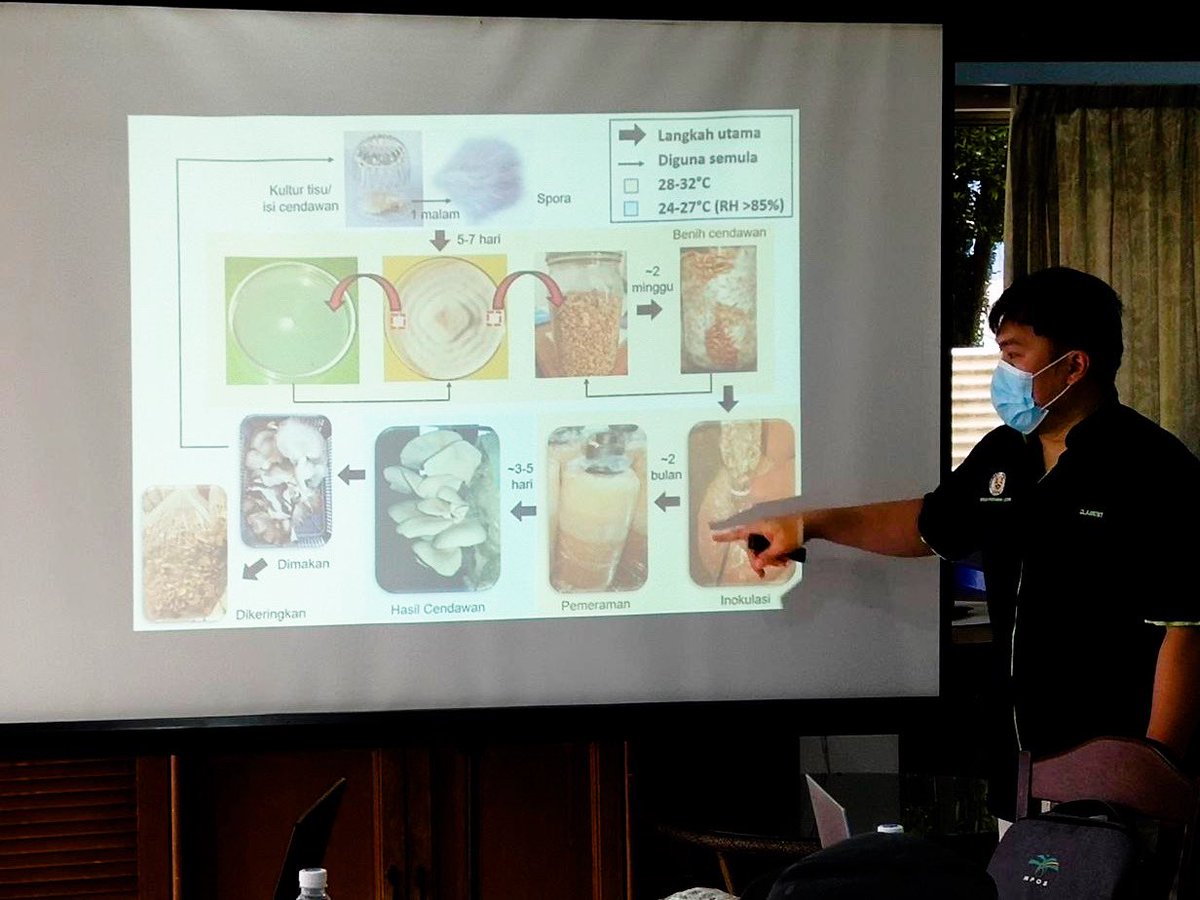 Wild Asia tweet media