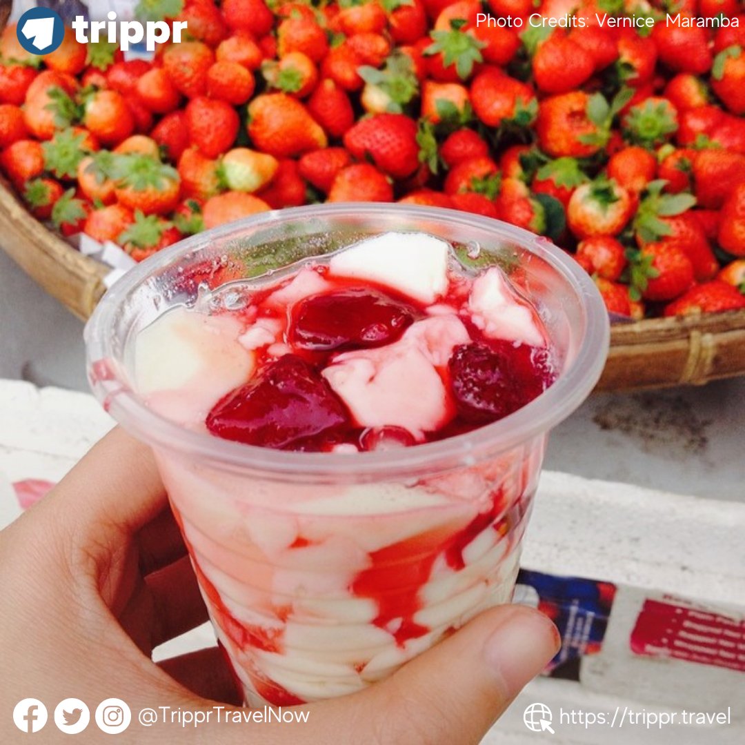 TripprTravelNow's tweet photo. Have you tried some of Baguio's popular strawberry snacks? 🤤 You need to try these for your next visit to Baguio!!! 😋

Check out Baguio's latest travel guidelines: https://t.co/AIpMGVdQrZ https://t.co/40CFGYoKAG