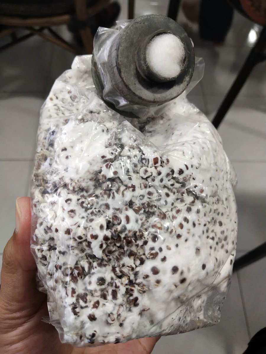 Wild Asia tweet media