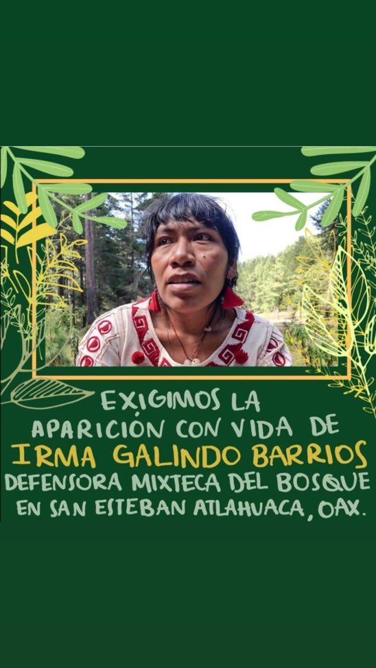 Sophie Alessandra C π©βπ¦― (@soph4future) on Twitter photo Yo te nombro IRMA GALINDO BARRIOS.Yo digo en voz alta que tu vida importa, que tu cuerpo importa, que tu lucha importa. Yo pregunto por ti. Yo exijo a
, <a href="/alejandromurat/">Alejandro Murat</a>, y a, <a href="/FISCALIA_GobOax/">FiscalΓa General</a>, que activen TODOS los protocolos necesarios. HASTA ENCONTRARTE CON vida Yo te nombro IRMA GALINDO BARRIOS.Yo digo en voz alta que tu vida importa, que tu cuerpo importa, que tu lucha importa. Yo pregunto por ti. Yo exijo a
, <a href="/alejandromurat/">Alejandro Murat</a>, y a, <a href="/FISCALIA_GobOax/">FiscalΓa General</a>, que activen TODOS los protocolos necesarios. HASTA ENCONTRARTE CON vida