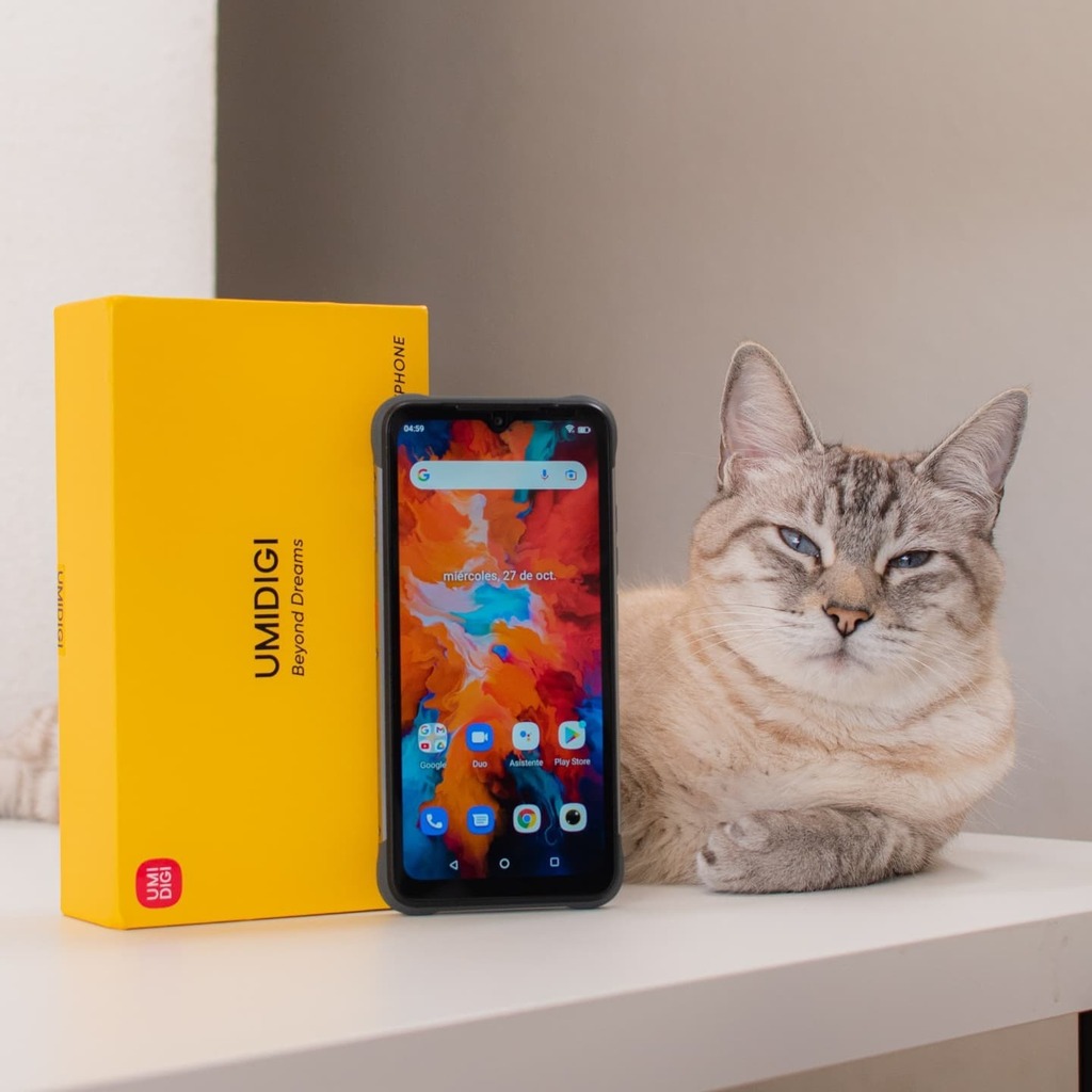 pasionmovil's tweet photo. Hoy en la #seccionanimal tenemos a Iso, hijo de #pingopda quien nos acompañó durante el #unboxing del #bisonx10 de @umidigi un #smartphone todo terreno con specs bastante decentes, un diseño #todoterreno y un precio de poco más de 150USD

Cómpralo en @li… https://t.co/RzdEnqmTJo https://t.co/FZGW0YNuBx