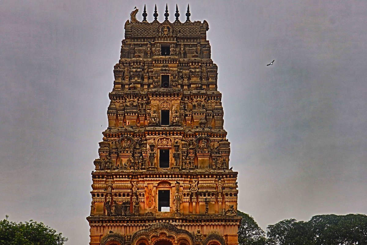 kirthzz's tweet photo. 💛❤️💚
📍Ammapalle, shamshabad https://t.co/5aZfVuByLN
