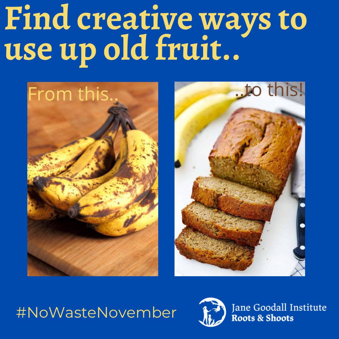 Instead of throwing away overly ripe bananas, consider making banana bread with them - the riper, the better 😉 Then place the peels in water to use as nutrient rich food for your house plants.