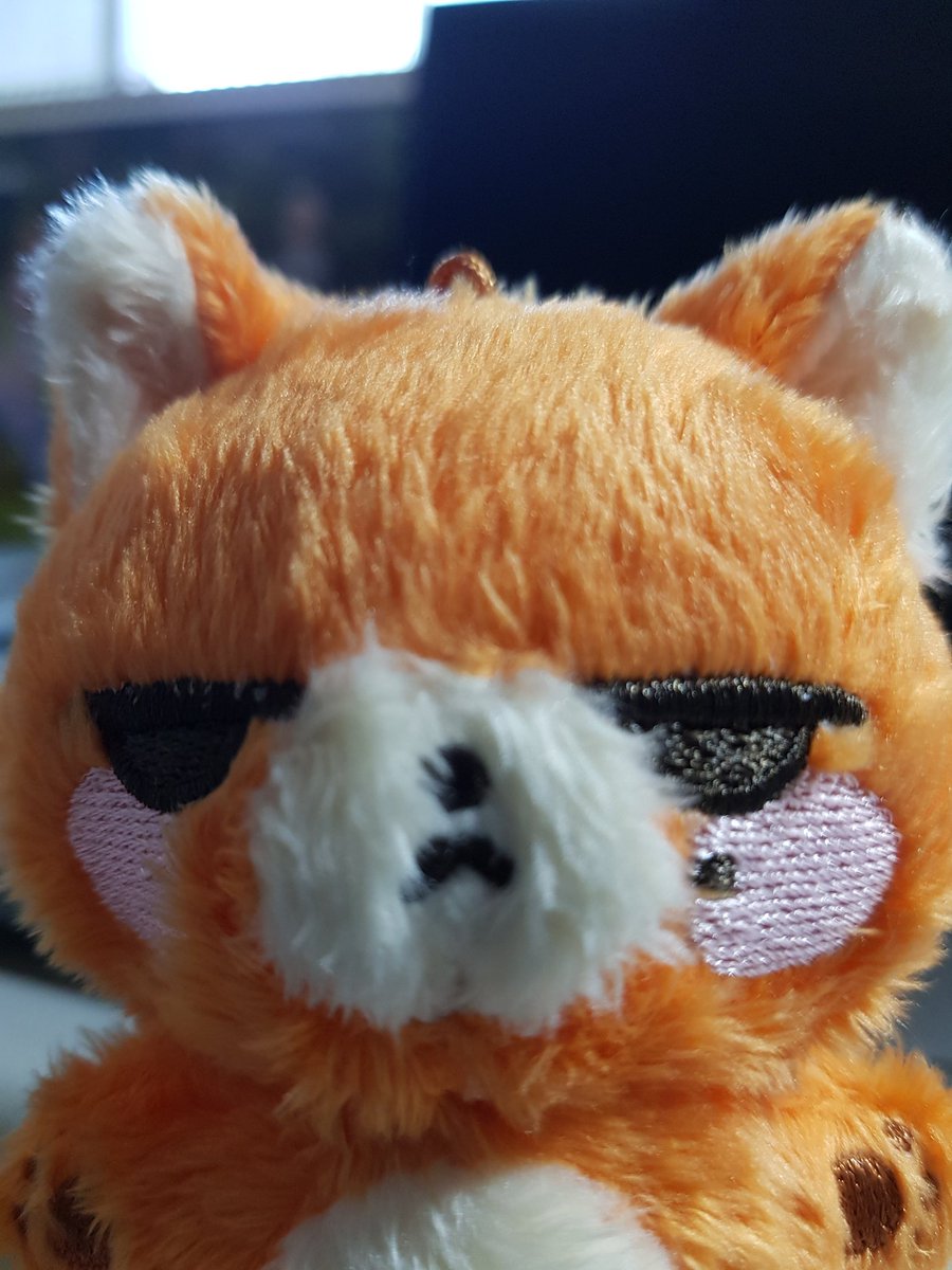 폼 열자마자 바로 달려가서 갈긴 인형🤩
후하 진짜 지대 귀엽구 사랑스러워서 우째!!8ㅁ8!!🥺💕💖 이제 항상 같이 댕기자😍😍 
만들어주셔서 감사합니다ㅠㅠ

<a href="/babyfoxwy/">여우영</a>