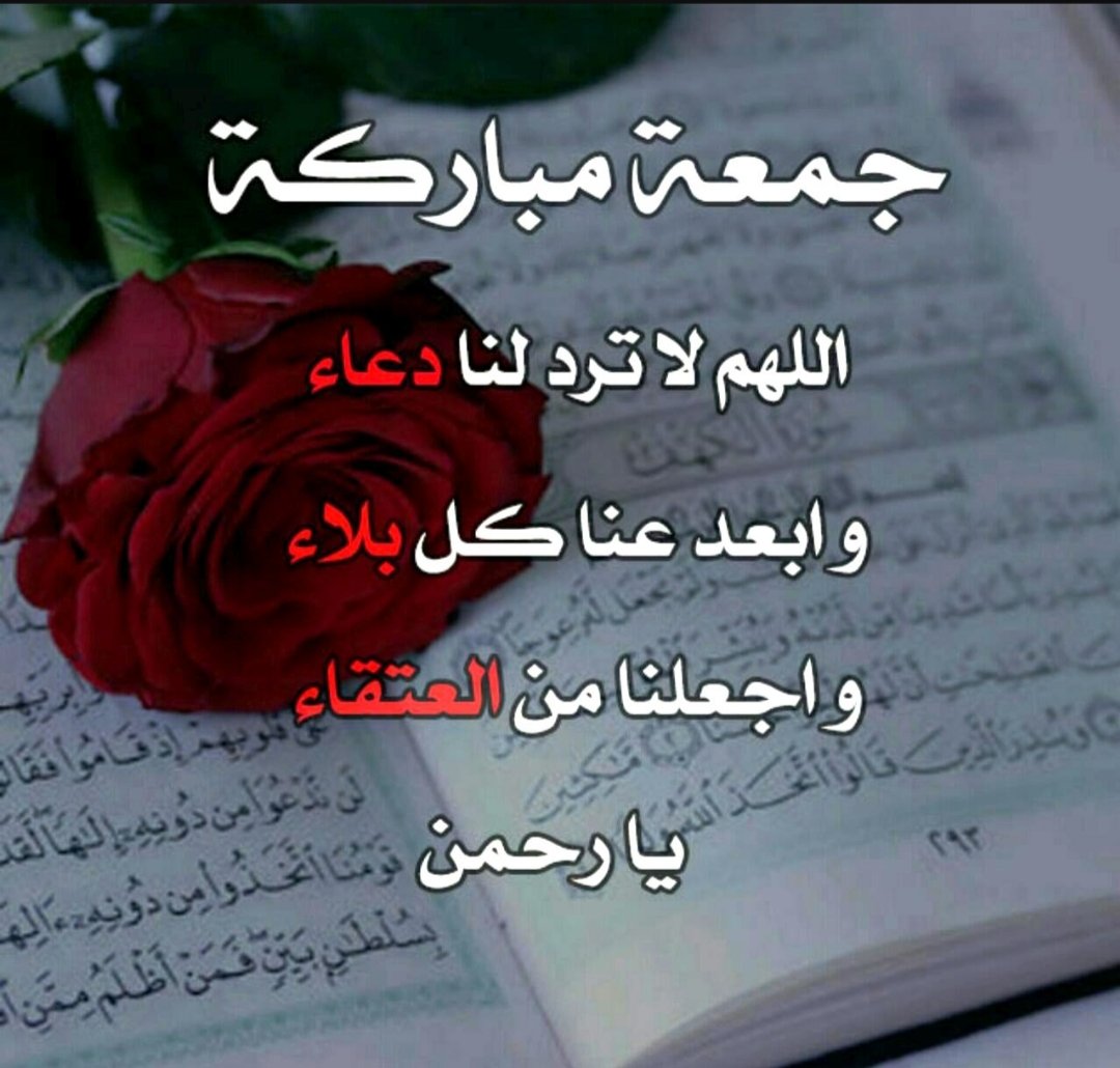 sayedmokht's tweet image. 