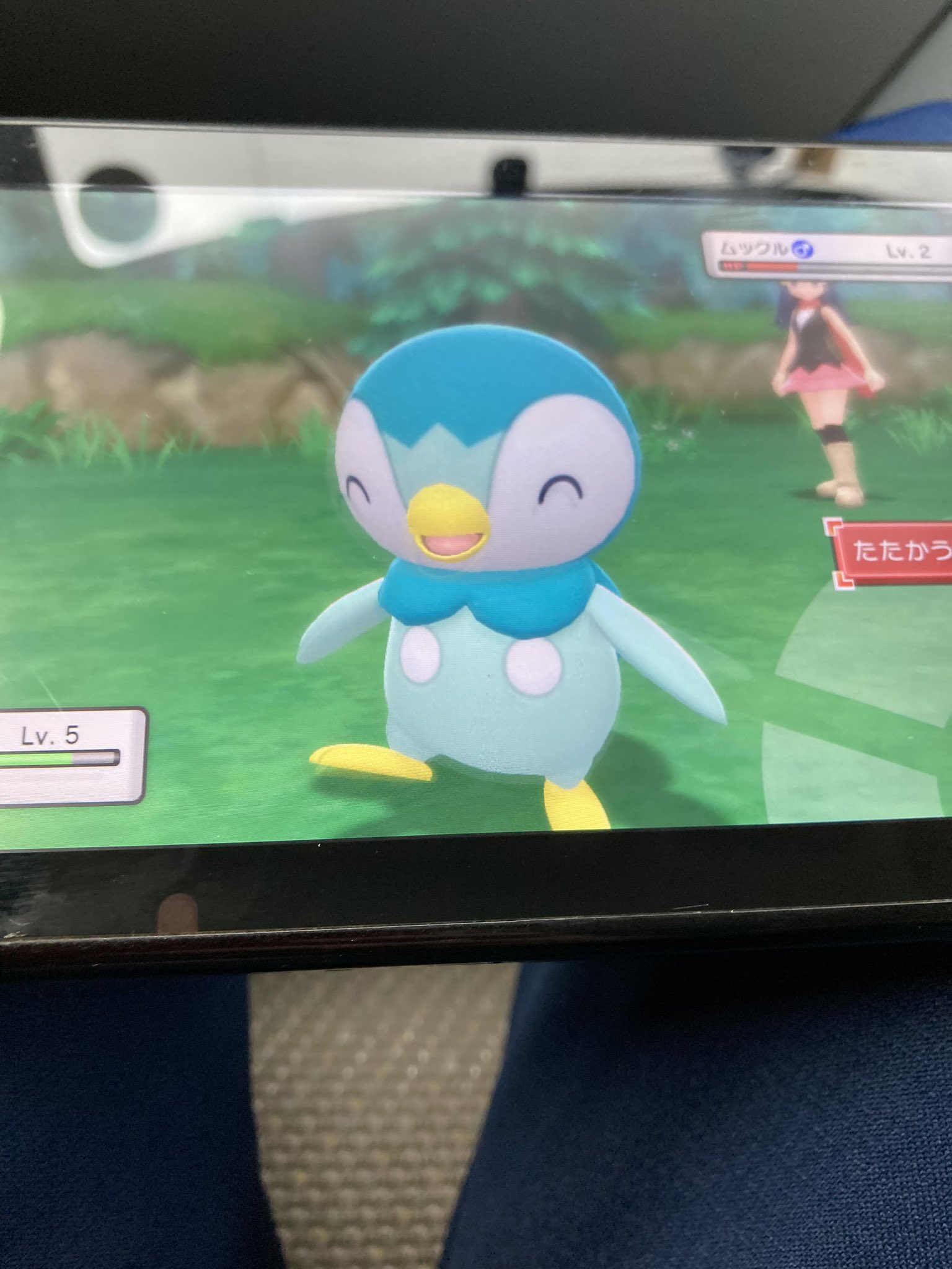 コーンくん ポケモンダイパリメイクで1番最初にゲットしたポケモンです 泣いた 色違いだあーーー 一発 まさか来るとは思ってなかった 世界で何番目かな W ちなみに進化させない予定です ポケモンダイパリメイク 色違い ポッチャマ