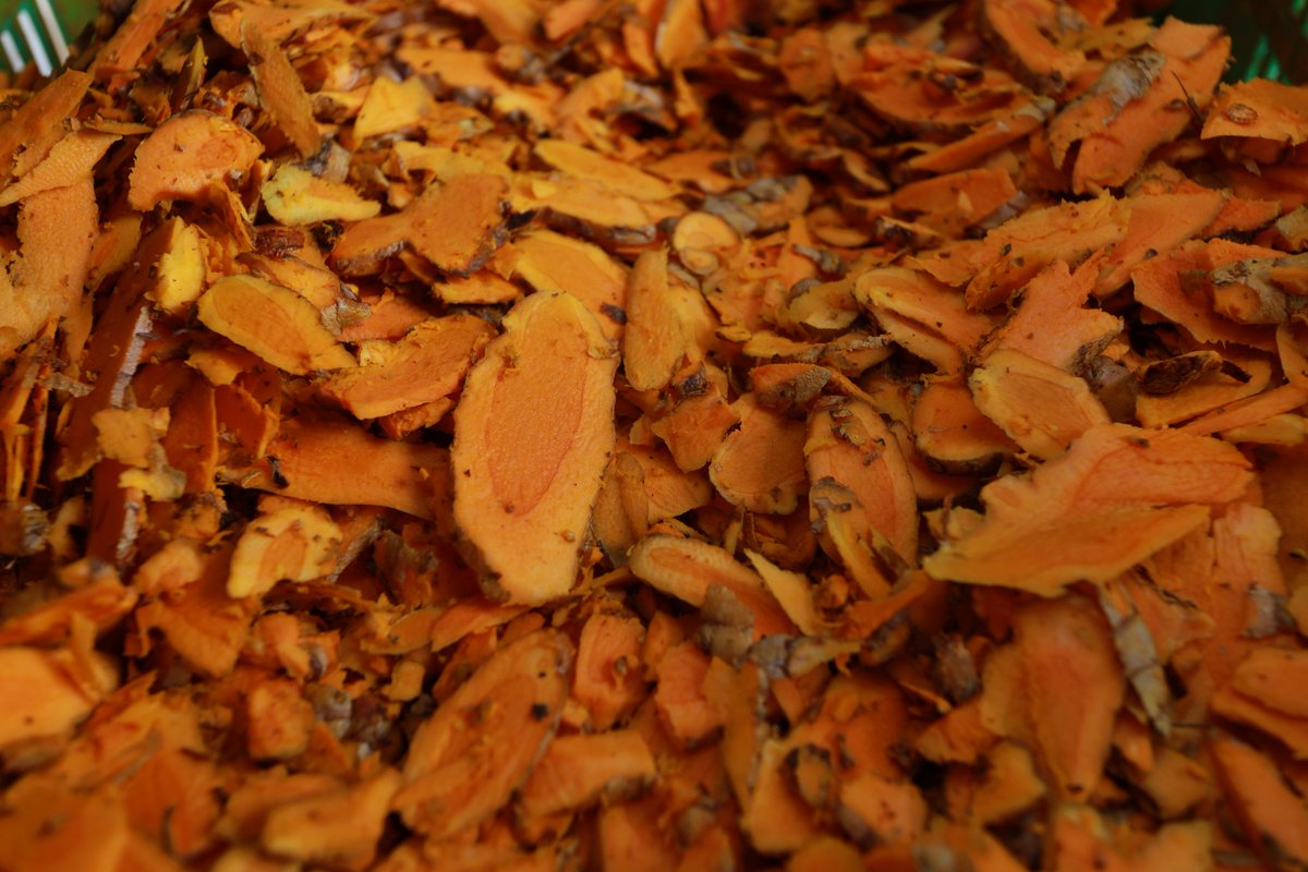 queenoftheast1's tweet photo. For centuries and generations, we have been growing spices. We can now sell them directly to you, and so farmers and the villagers around us are the primary stakeholders. Look up what we do at https://t.co/51oOFPPekL https://t.co/0gfeC8z4qo