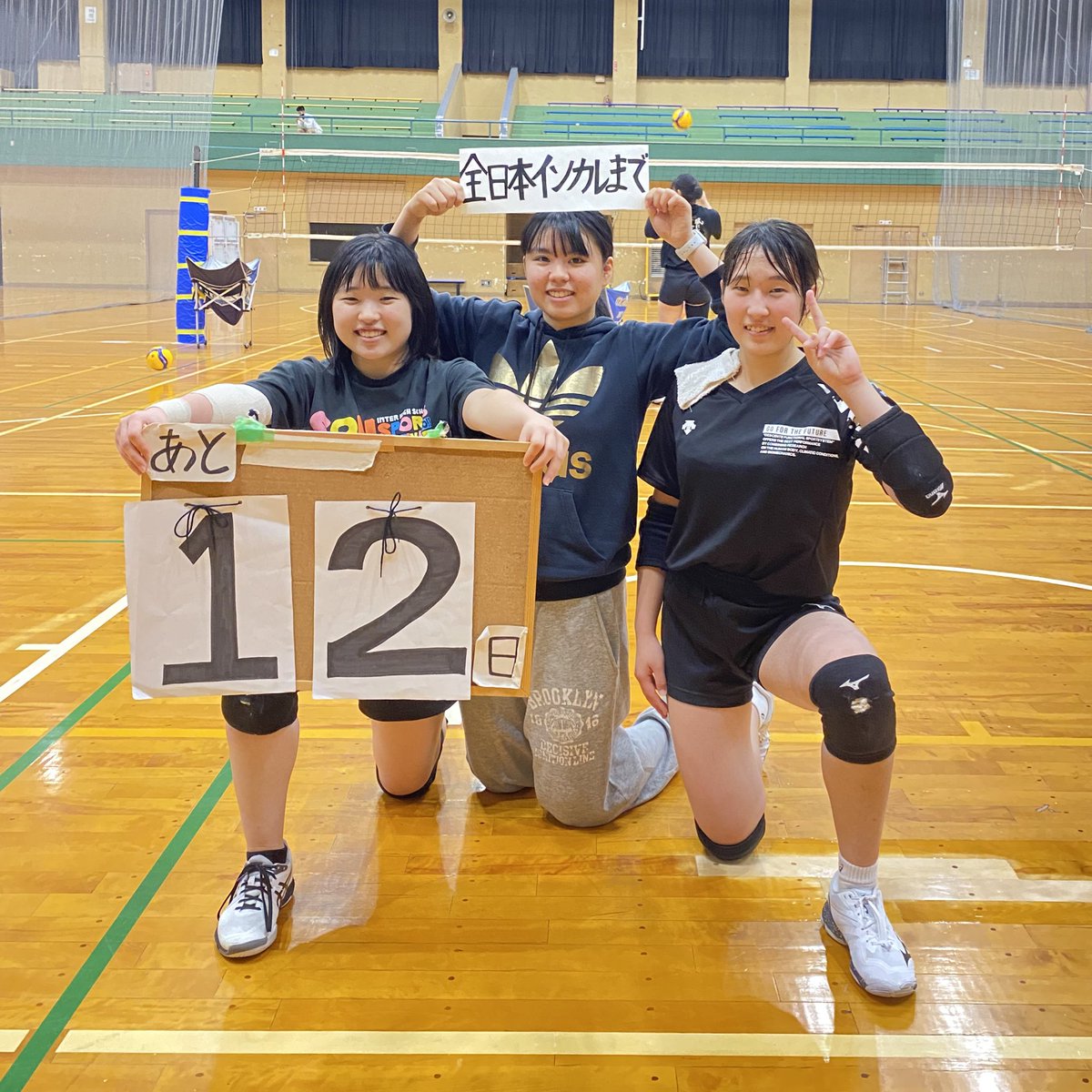 Mizuno 全日本インカレパーカー バレーボール 2022 バレーボール日本