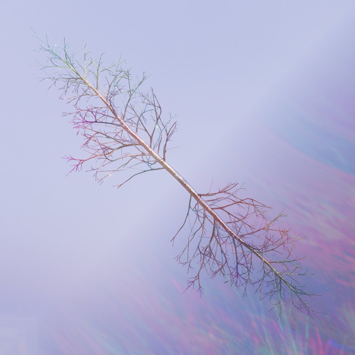 holikpc's tweet photo. 3NFT on @_Dartroom still available!
2/3ed left - 20 $ALGO
https://t.co/aW5nTg1Jhr
#dartroom #algo #crtyptoart #algorand #algo #nft #nftart #cryptoart #dartmate #holikpc #DARTESIS https://t.co/hz932Y2geK