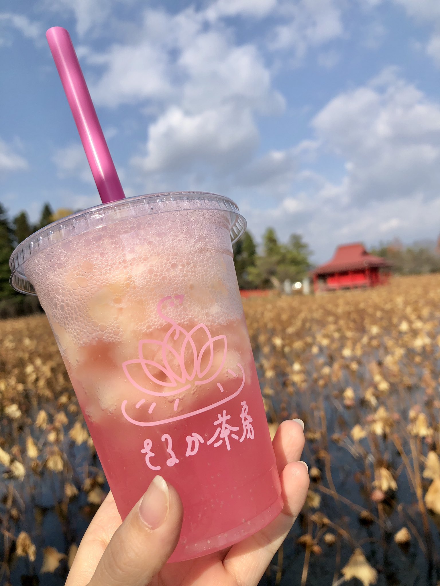 まるごと青森 さるか茶房 さんの ピーチジュース しっかりした桃の果肉感 炭酸を含んだシャリシャリ氷でさらに爽やかに頂けました 青森 平川市 猿賀公園 津軽の桃 T Co K6rzdilkqo Twitter