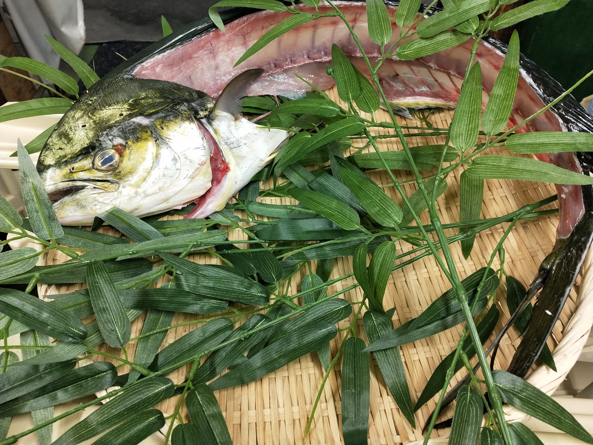 スーパーシマダヤ日本堤店 夏から秋が旬のシイラ入荷しました クセがなくてほんのり甘みがあるお魚です 焼き物やフライに最高です また新鮮なので刺身でも美味しく召し上がれます バイヤー推しは刺身にごま油と塩で食べると美味しそうそうですよ