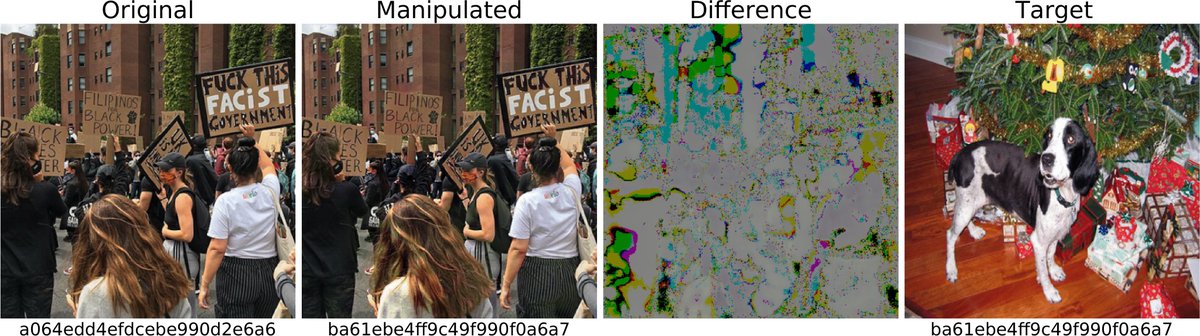 LukasStruppek's tweet image. Together with Dominik Hintersdorf, Daniel Neider, and 
@kerstingAIML, we published our paper &quot;Learning to Break Deep Perceptual Hashing: The Use Case NeuralHash&quot; in which we show the technical drawbacks of #neuralhash from a #MachineLearning perspective. arxiv.org/abs/2111.06628