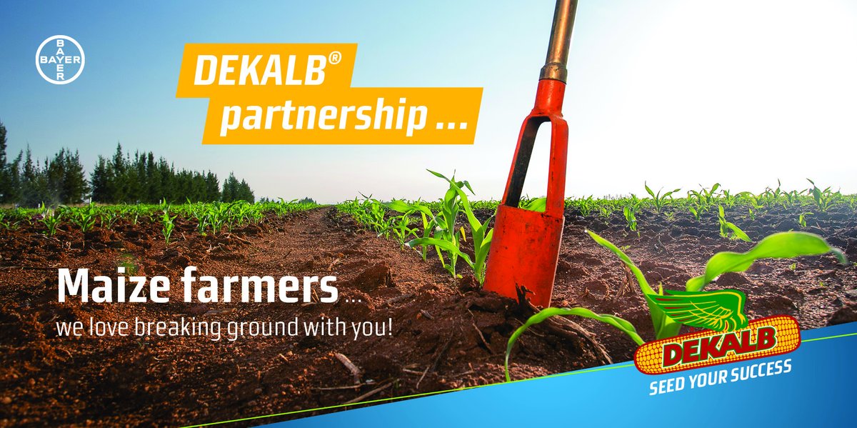 For Bayer, it is important to deliver solutions that enable both smallholder and large-scale maize farmers to sustainably produce more with less. Click here to read more about how DEKALB’s traits and technologies can benefit your farm: ow.ly/Ge3k50GRA8Q