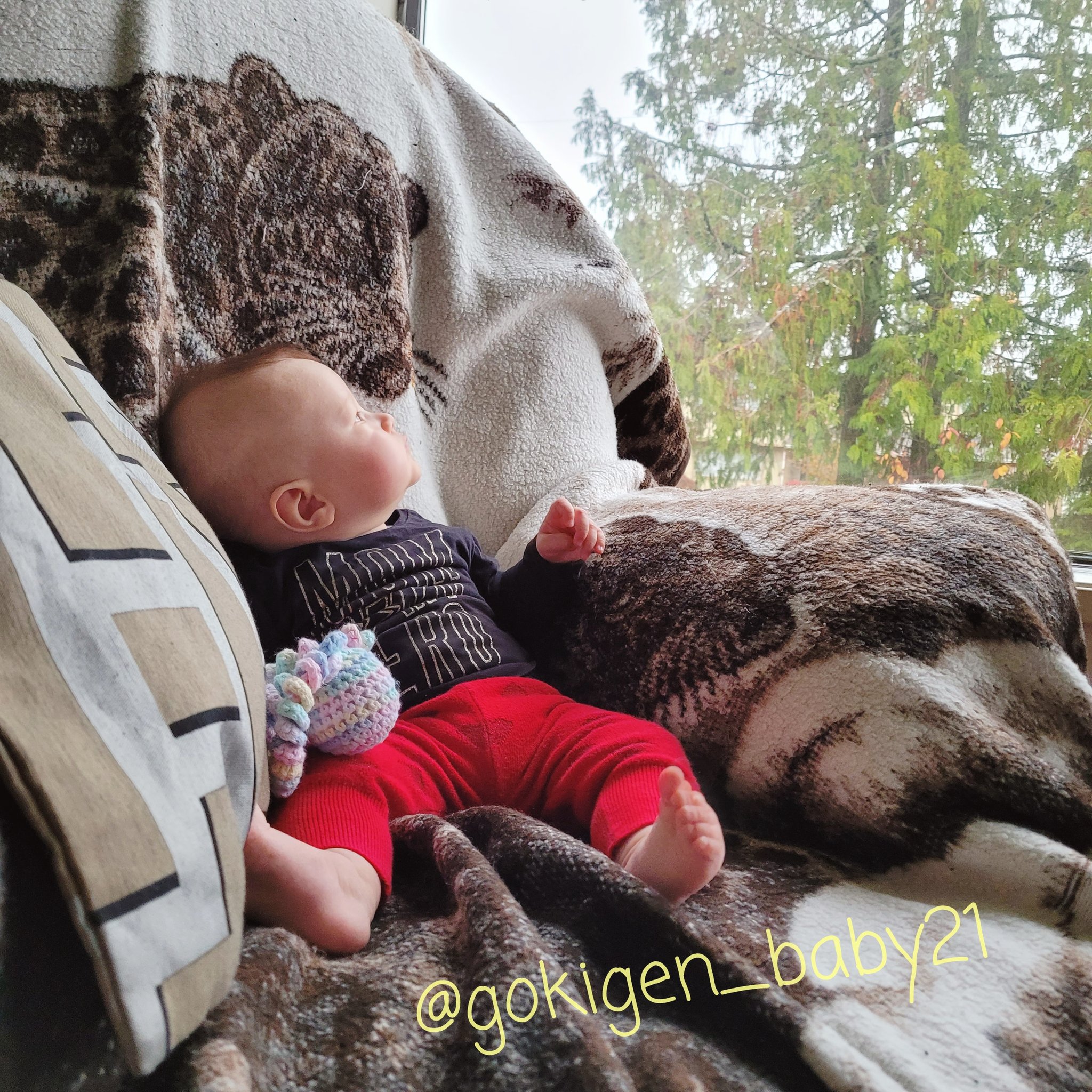ご機嫌なぺぺ ママ 6m Gokigen Baby21 Twitter