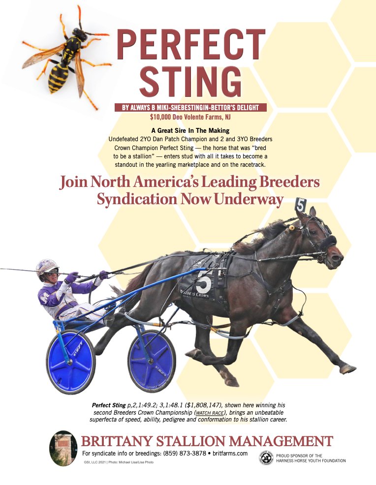 PerfectSting's tweet photo. Bring 'em on! https://t.co/pLWCIWNbw4