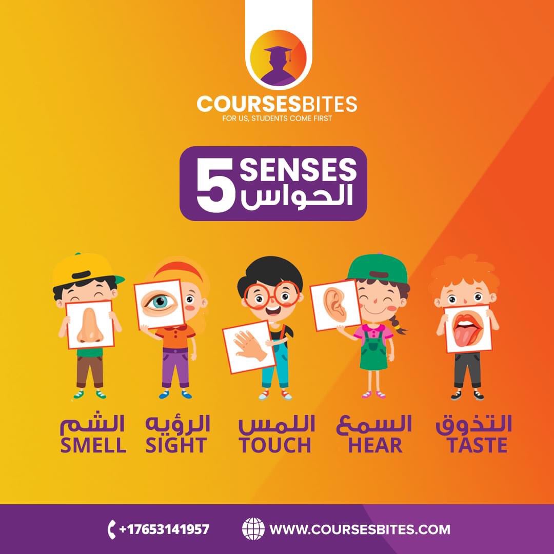 Let’s learn 5 senses and many small bites from Arabic language, reserve your free trial lesson now coursesbites.com
