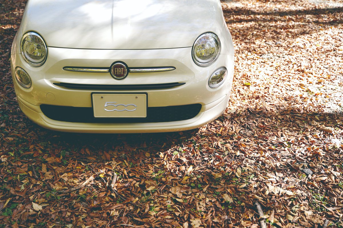 FIAT_JP's tweet photo. 落ち葉の絨毯の上でにっこり!🍂
自然の中で日向ぼっこを楽しむ『500』
#myfirstfiat https://t.co/B6Ap4FArcF